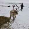 Участие на празднике "Навруз"